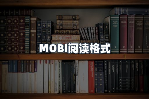 MOBI阅读格式
